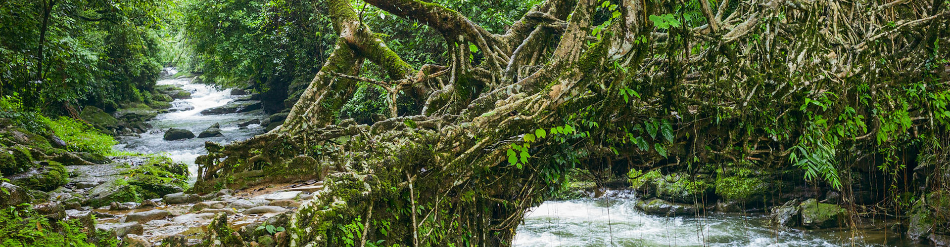 Meghalaya